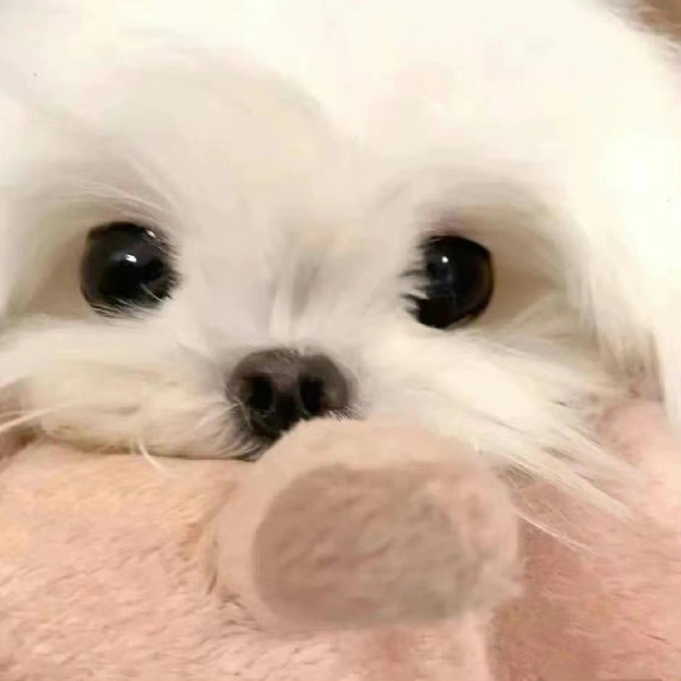 自我认为超级好玩的收纳 自我认为超级好玩的收纳
