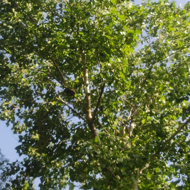 辅助菜单大全 都免费。 辅助菜单大全 都免费。