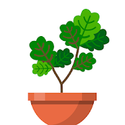 花园植物 花园植物