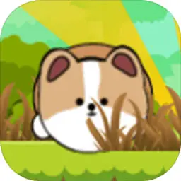 滚滚狗 滚滚狗