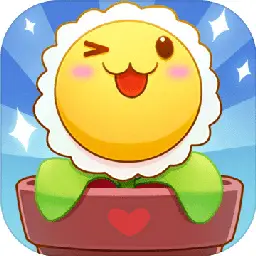 阳台种点啥