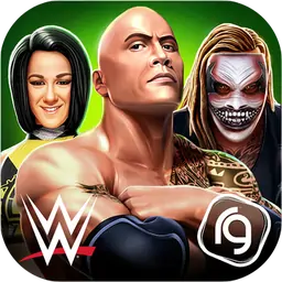 WWE混乱