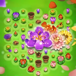 花花传奇 花花传奇