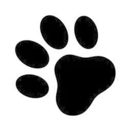 DigDog DigDog