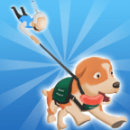导盲犬 导盲犬