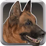 My Dog(狗模拟器) My Dog(狗模拟器)