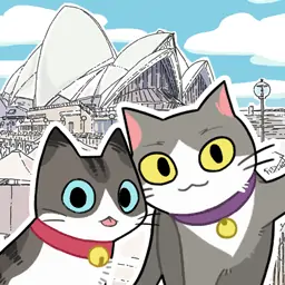 猫友圈：猫咪的旅行