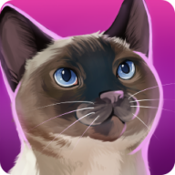 猫舍