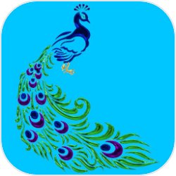 人类起源:刘兰芝 人类起源:刘兰芝