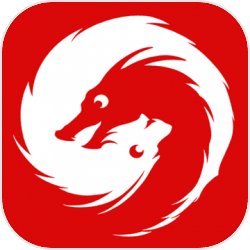游龙 游龙