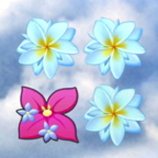同花齐放