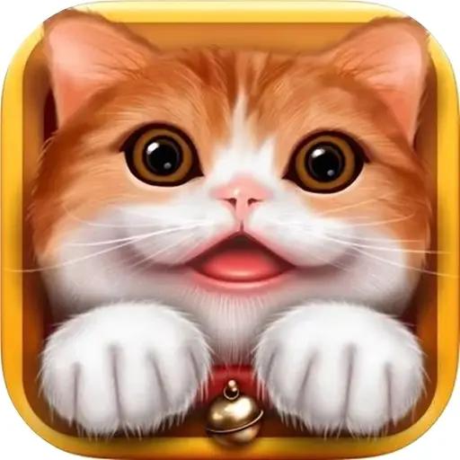 猫咖馆
