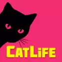 猫生活 猫生活
