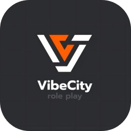VibeCity VibeCity