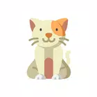 猫咪