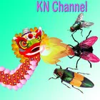 保护蜂巢KN通道