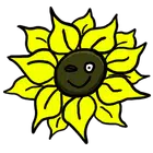 Flower Power Flower Power