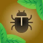 Bug Smasher