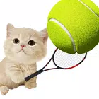 猫网球明星 猫网球明星