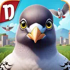 Pigeon Pop Pigeon Pop