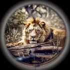 Hunting Games: 射击 真枪 動物 3d 射击类 Hunting Games: 射击 真枪 動物 3d 射击类