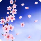 魔法师的春天