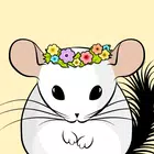 我的龙猫