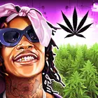 维兹·哈利法的杂草农场 维兹·哈利法的杂草农场
