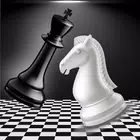 离线 3D 国际象棋:玩和学习 离线 3D 国际象棋:玩和学习