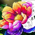 按编号绘制 按编号绘制