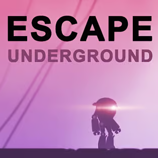 逃亡:地下