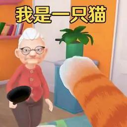 小猫咪大世界