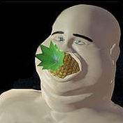 请不要喂我 请不要喂我