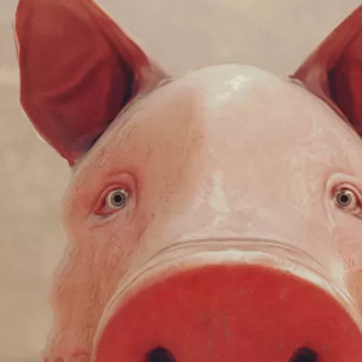 小猪模拟器 小猪模拟器