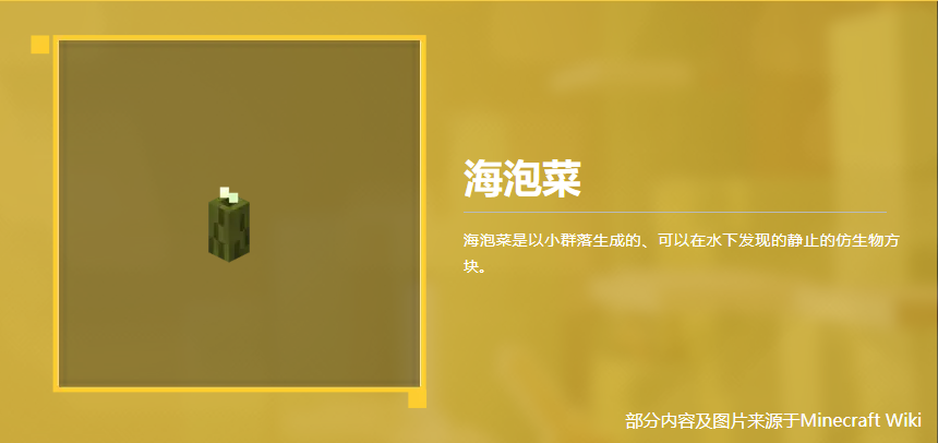 海泡菜