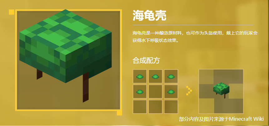 海龟壳