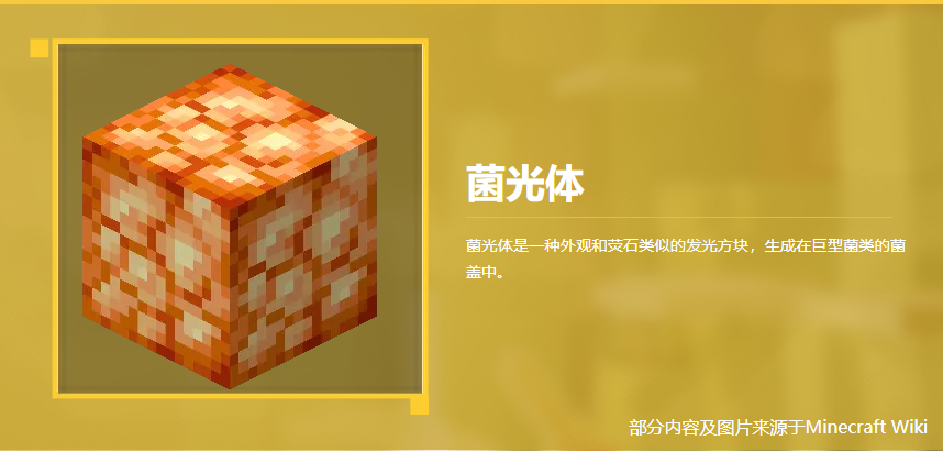 菌光体