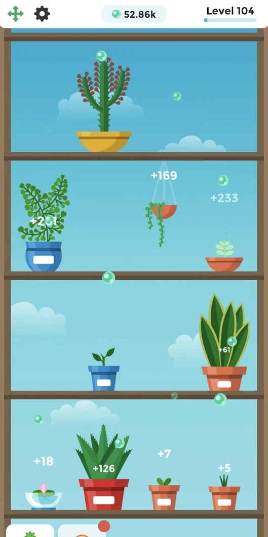花园植物