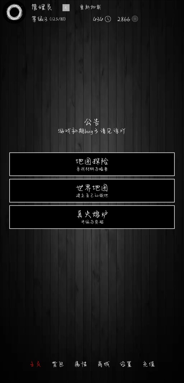 术师