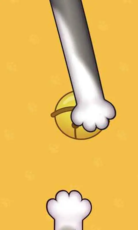 猫爪