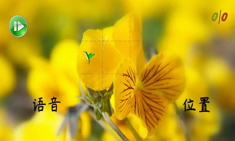 聪敏