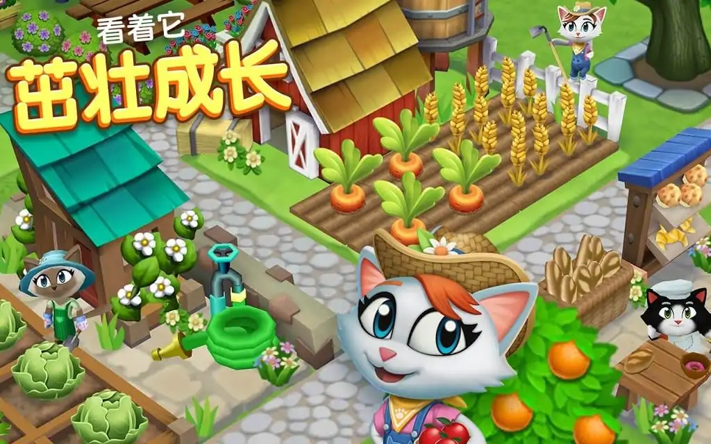 凯蒂城