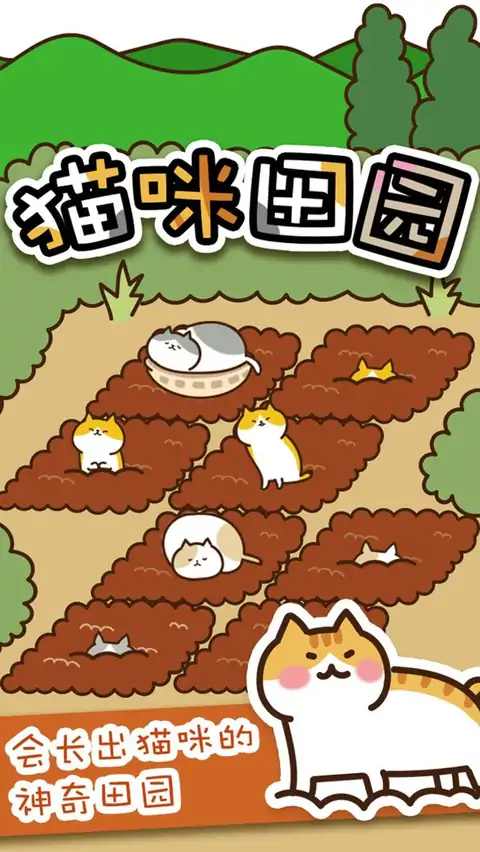 猫咪田园