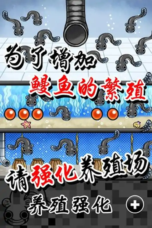 鳗鱼养殖场
