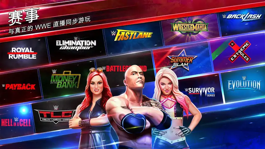 WWE混乱