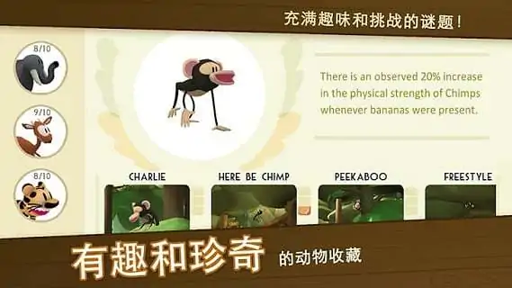 动物摄影乐园