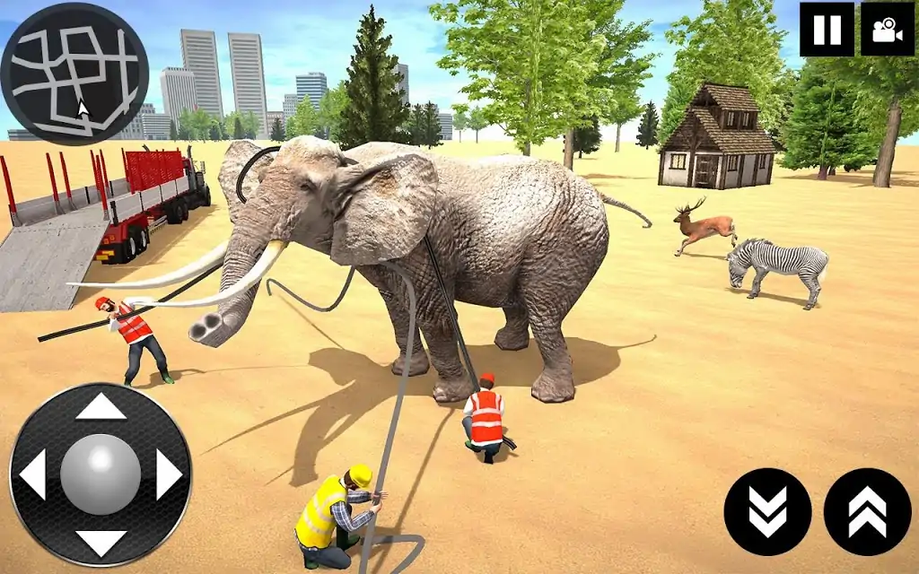 野生动物运输车卡车模拟器游戏2019年