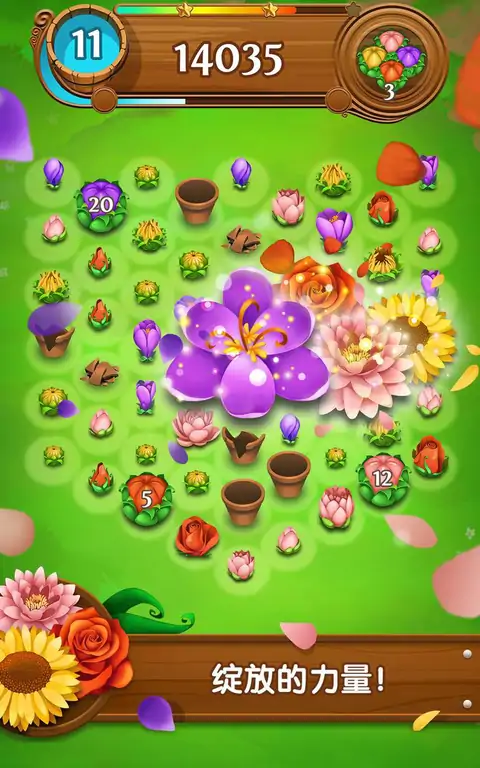 花花传奇