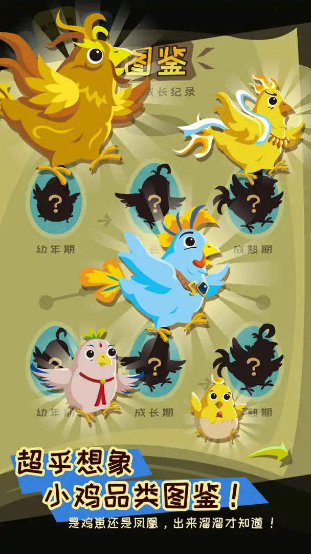 坤不可失