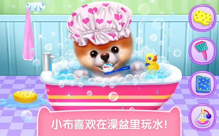 小布